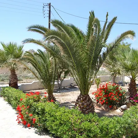 Coralli Микри-Вигла